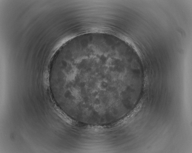 X0000112361019200908131451