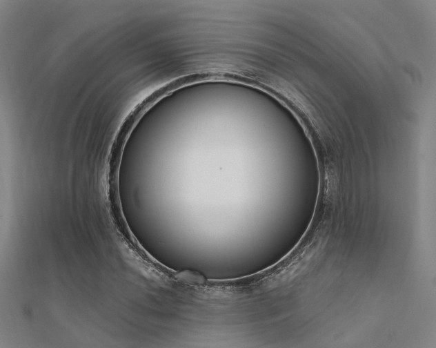 X0000112361020200908131451