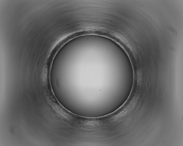 X0000112361021200908131451