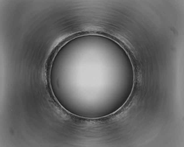 X0000112361022200908131451