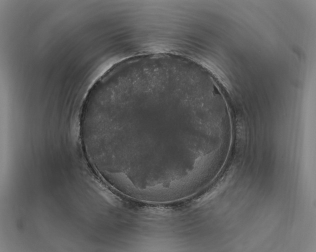 X0000112361023200908131451