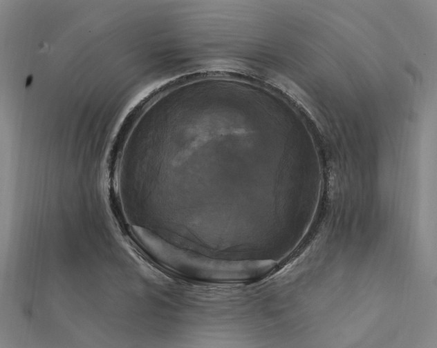X0000112361024200908131451