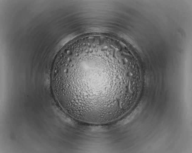 X0000112361025200908131451