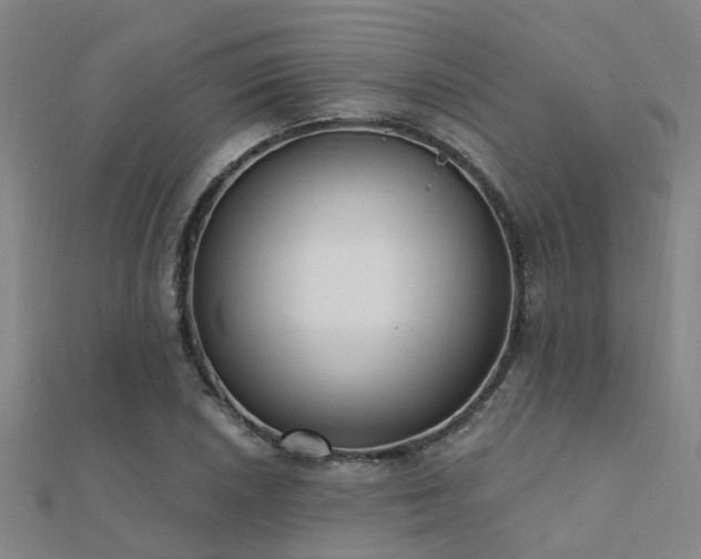 X0000112361026200908131451