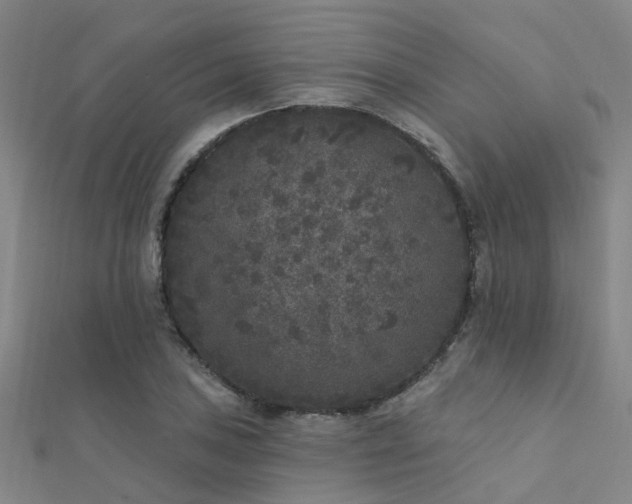 X0000112361027200908131451