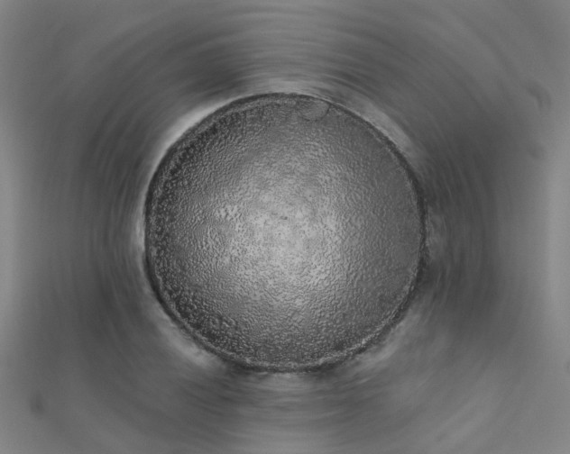 X0000112361028200908131451