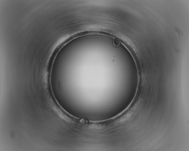 X0000112361029200908131451