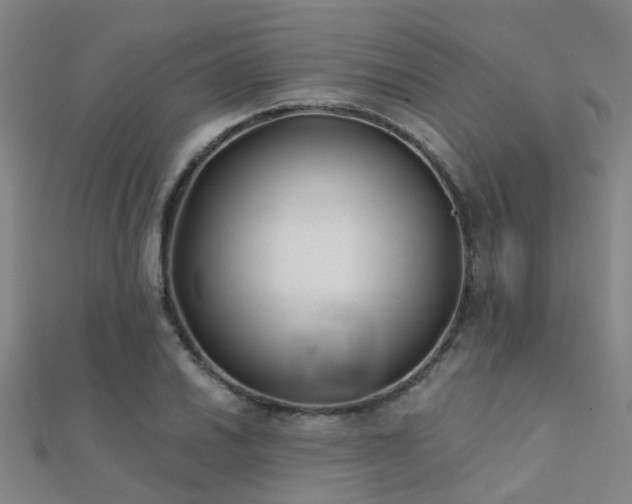 X0000112361030200908131451