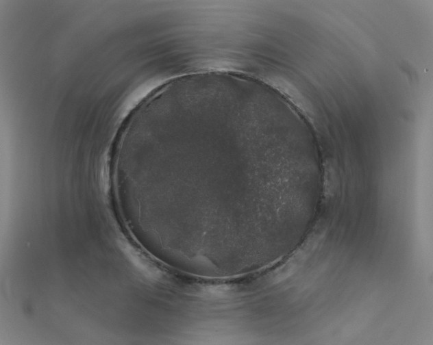 X0000112361031200908131451