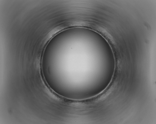 X0000112361033200908131451