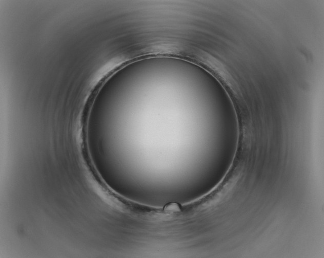 X0000112361034200908131451
