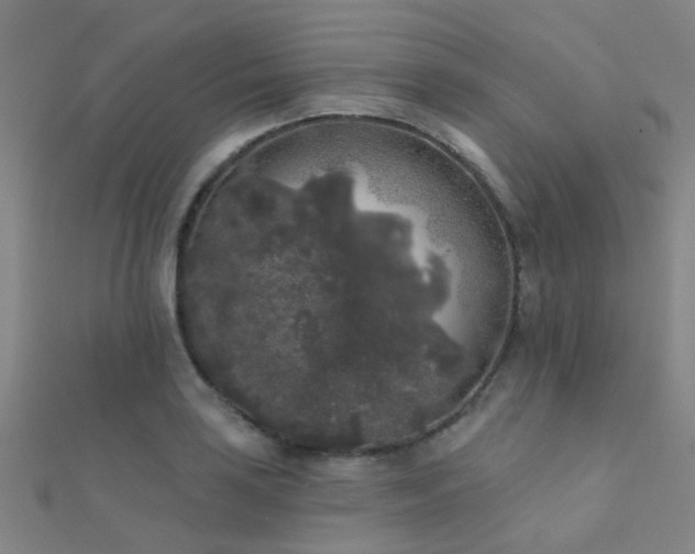 X0000112361035200908131451