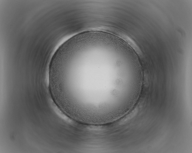 X0000112361036200908131451