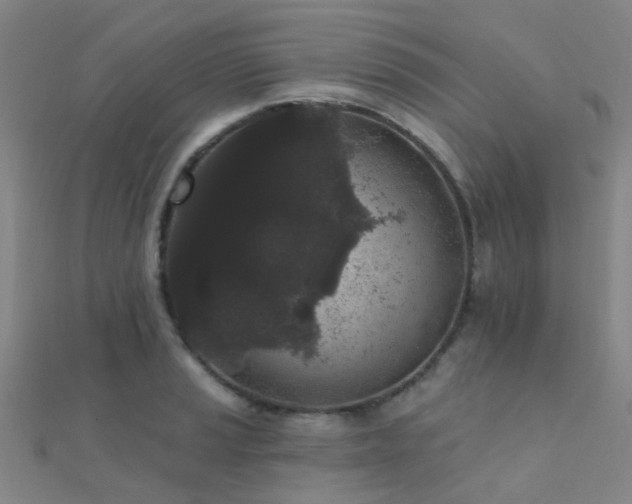 X0000112361037200908131451