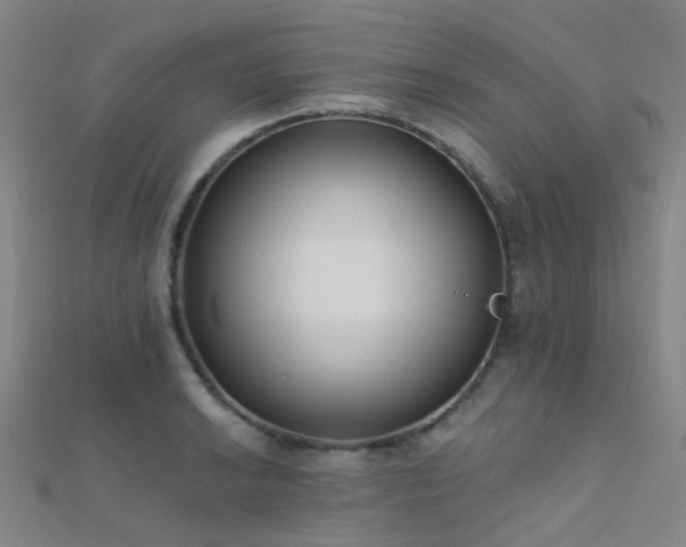 X0000112361038200908131451