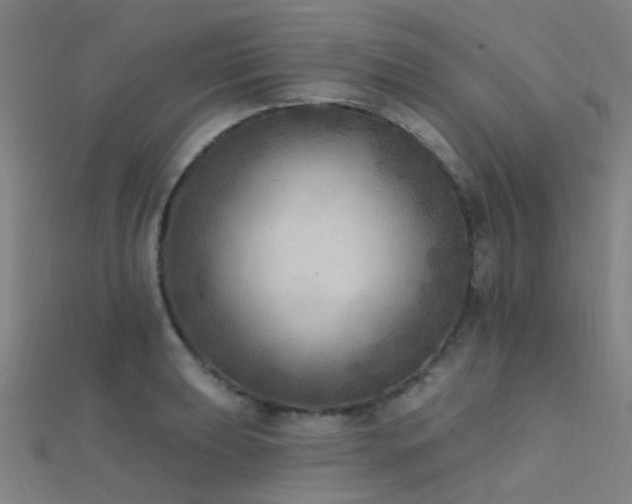 X0000112361039200908131451
