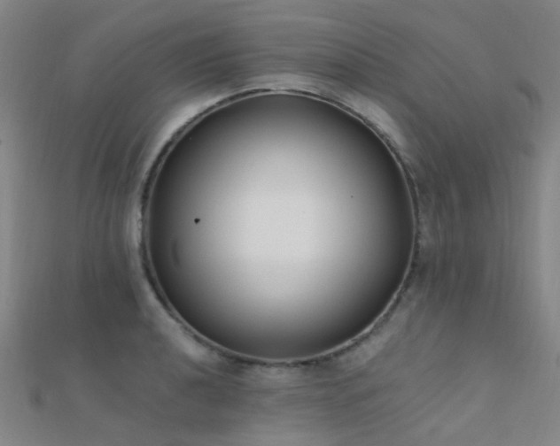 X0000112361040200908131451