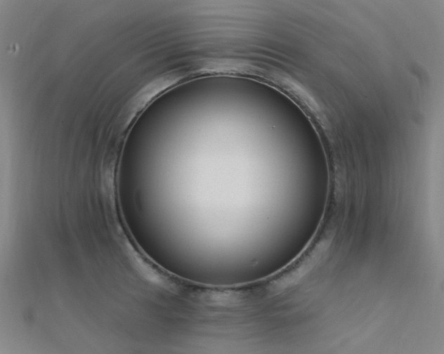 X0000112361041200908131451