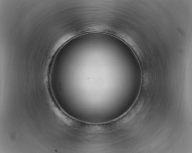 X0000112361042200908131451