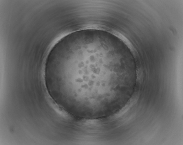 X0000112361043200908131451