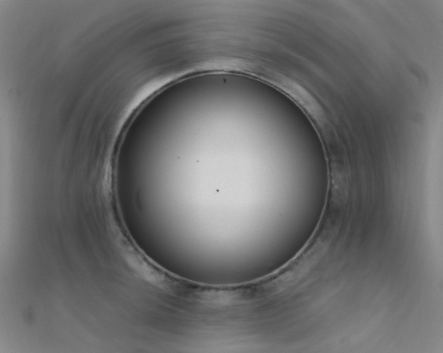 X0000112361044200908131451