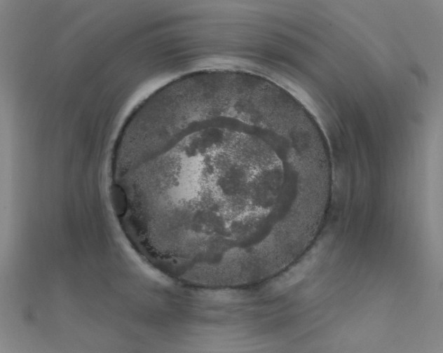 X0000112361045200908131451