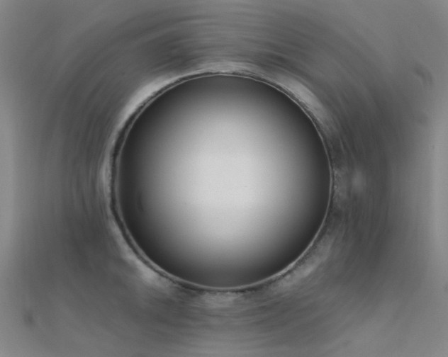 X0000112361046200908131451