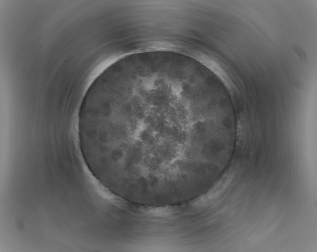 X0000112361047200908131451
