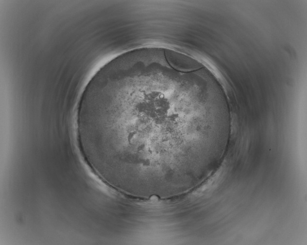 X0000112361048200908131451
