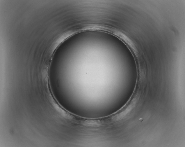 X0000112361049200908131451