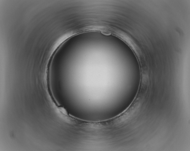 X0000112361050200908131451