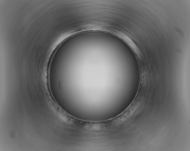 X0000112361051200908131451