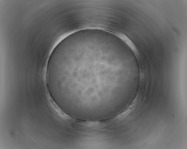 X0000112361052200908131451