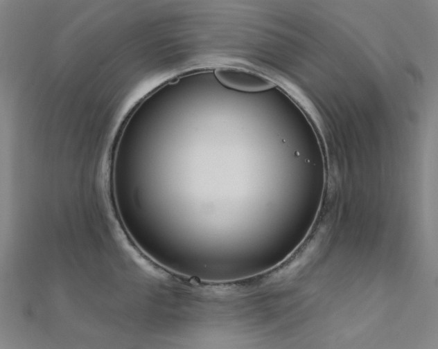 X0000112361053200908131451