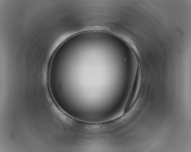 X0000112361054200908131451
