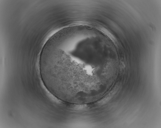 X0000112361055200908131451