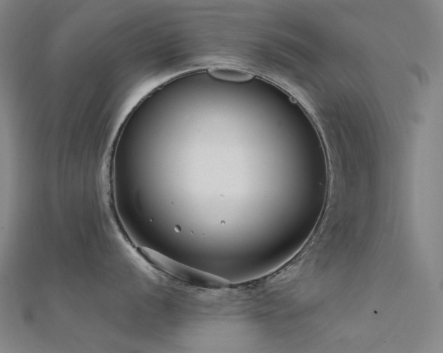 X0000112361056200908131451