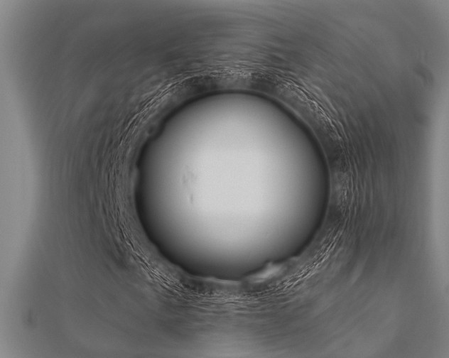 X0000112361057200908131451