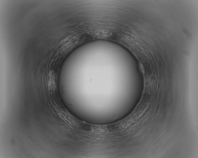 X0000112361058200908131451