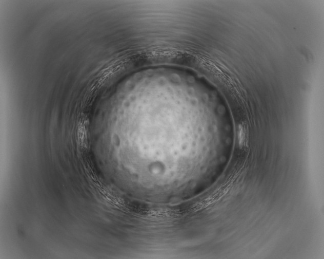 X0000112361059200908131451