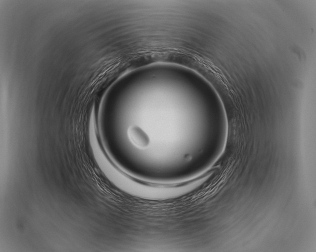 X0000112361060200908131451