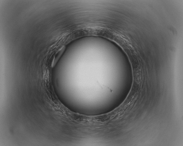 X0000112361061200908131451