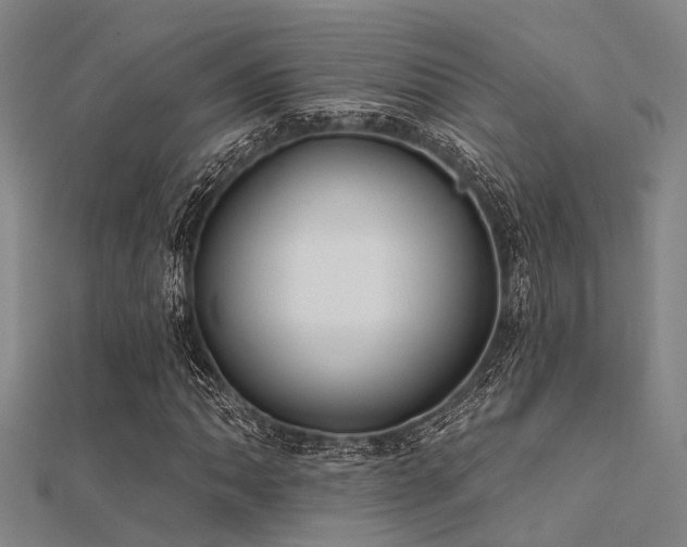 X0000112361062200908131451