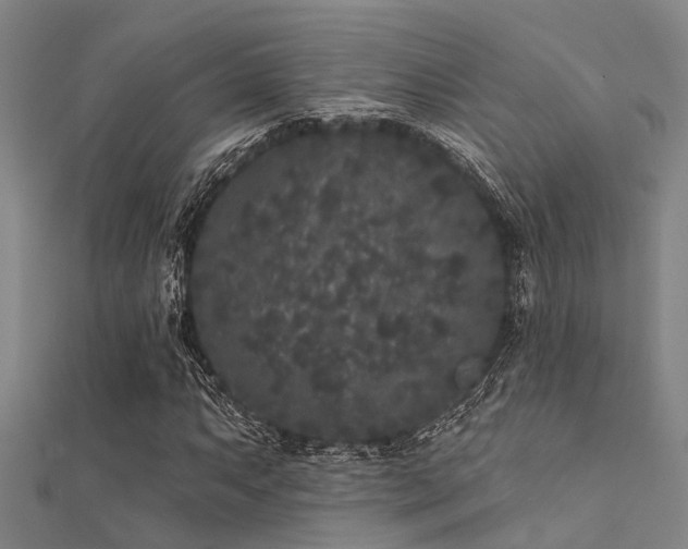 X0000112361063200908131451
