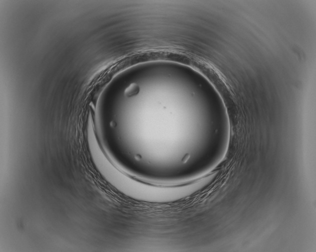X0000112361064200908131451
