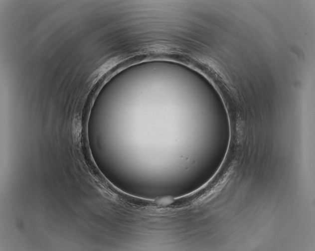 X0000112361065200908131451