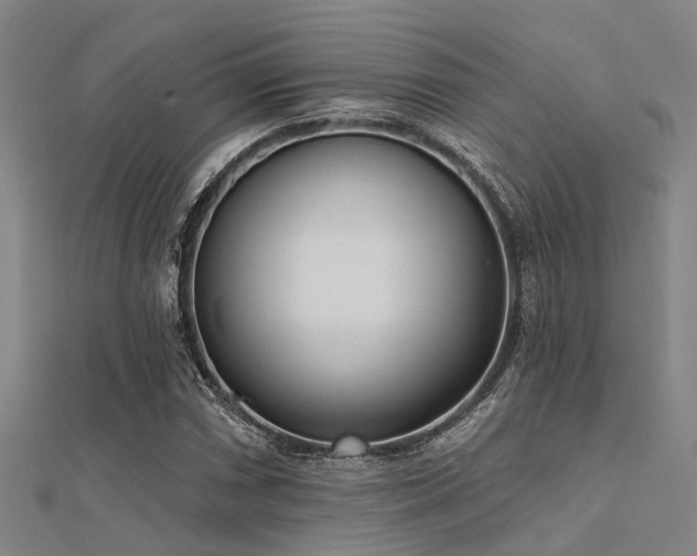 X0000112361066200908131451