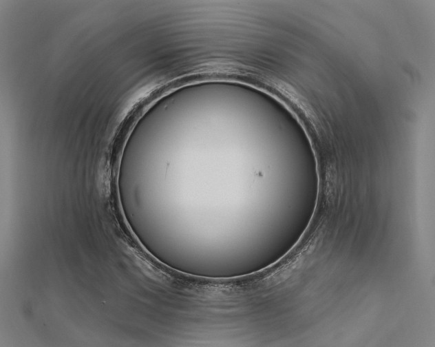 X0000112361067200908131451