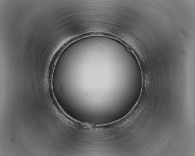 X0000112361068200908131451