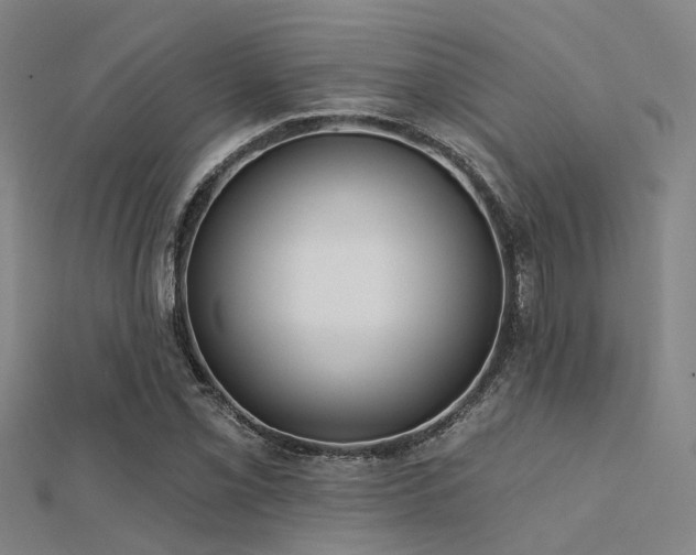 X0000112361069200908131451